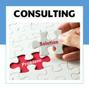 Organization consulting